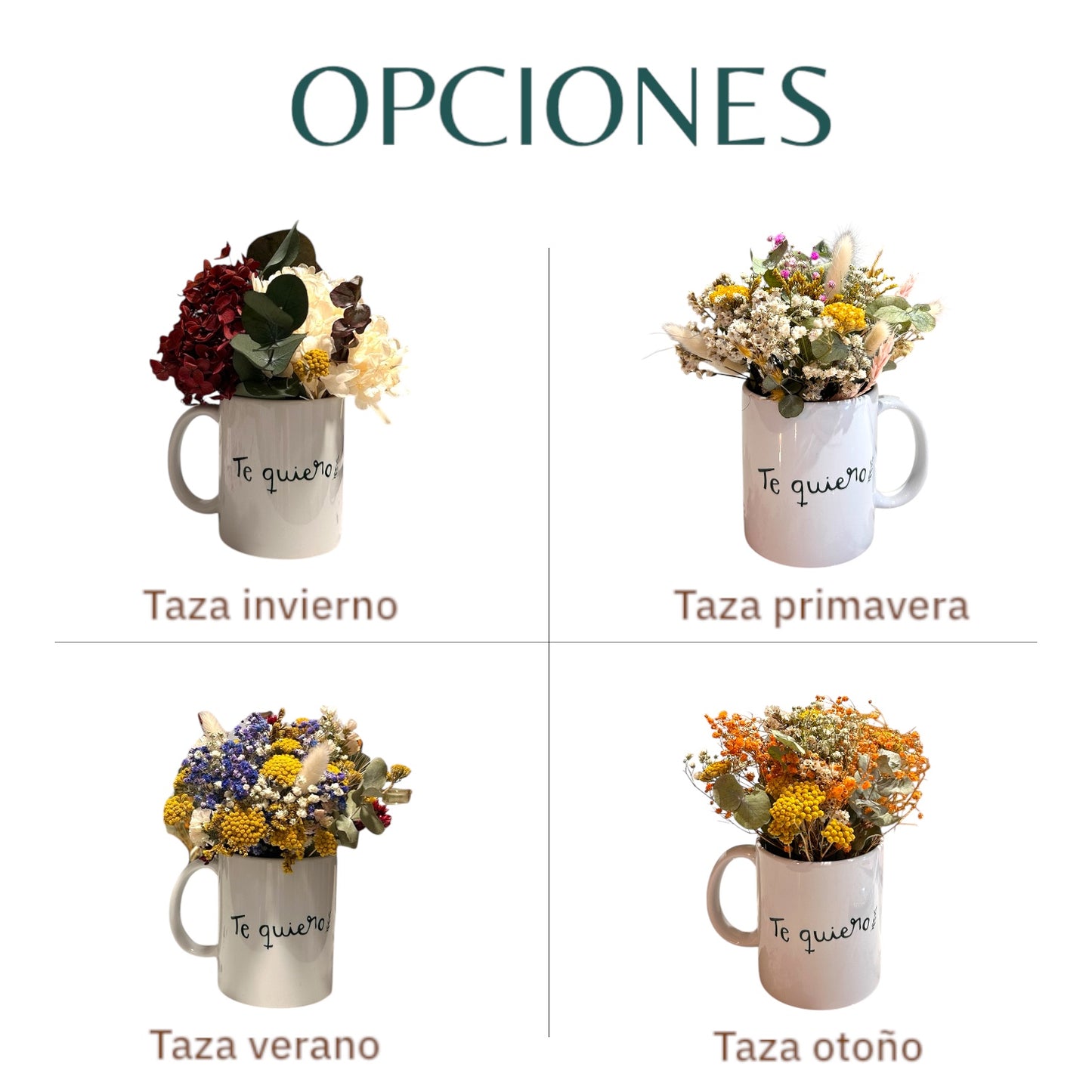 PACK TAZA CON ORGANIZADOR SEMANAL