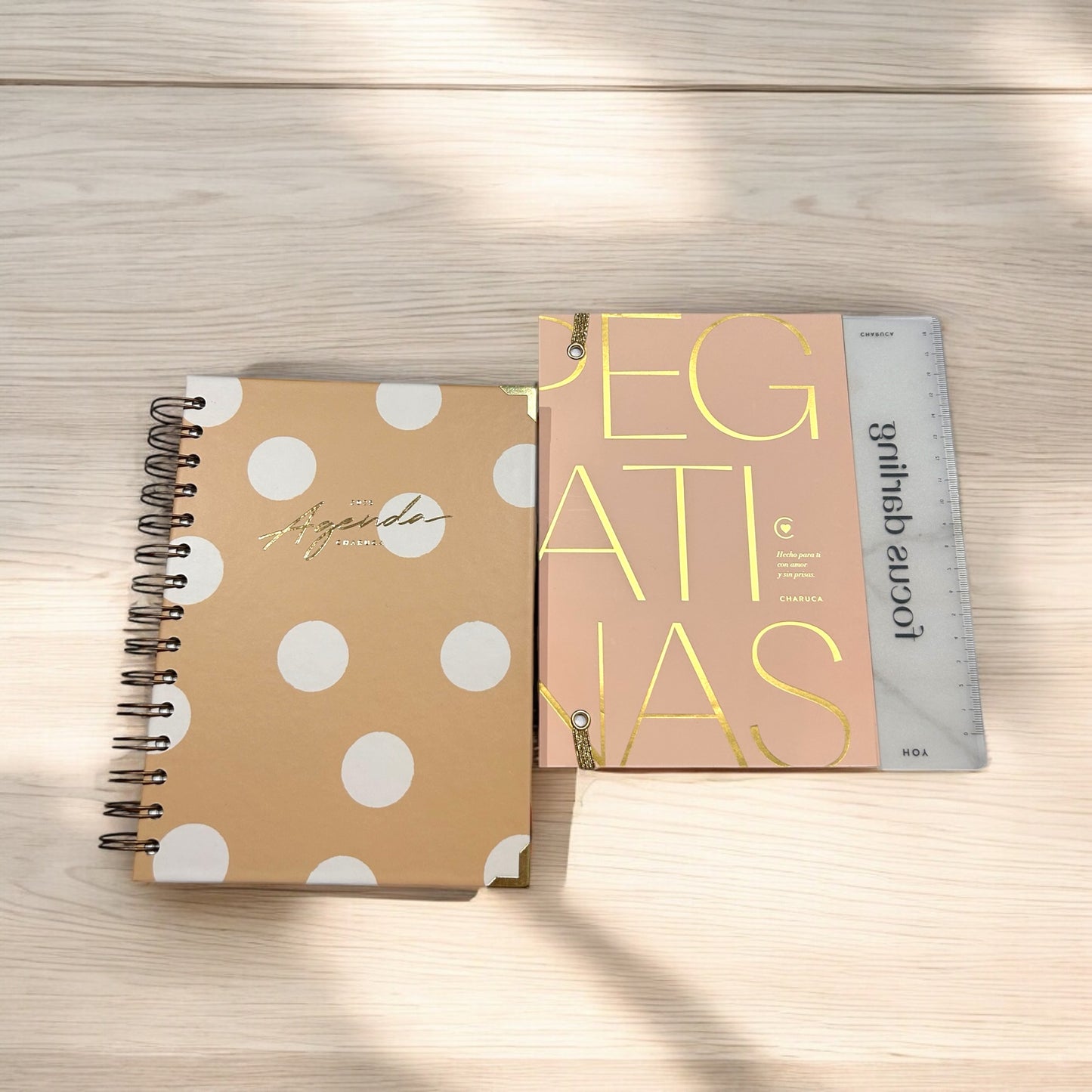 PACK TAZA CON AGENDA