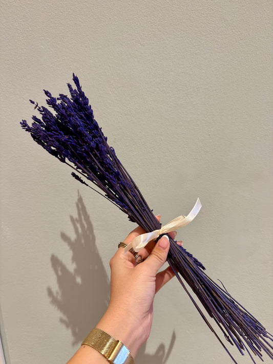 LAVANDA